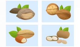 核桃漫画,趣味横生的日常趣事