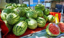 大连爆料吃瓜事件真相,揭秘背后真相与争议